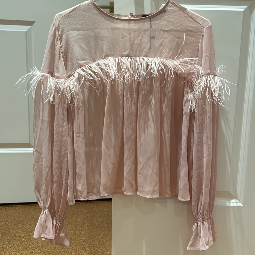 Zara Pink Sheer Feather Top Size XS (see other listing for pants)